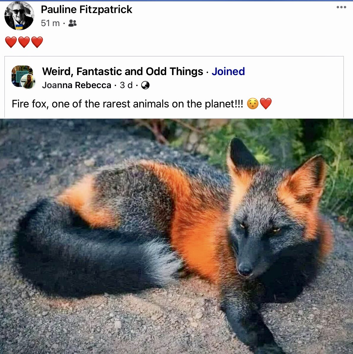 I found this beautiful pic on Facebook and thought <a href="/JaneFallon/">Jane Fallon</a> you might like it. 😍😍