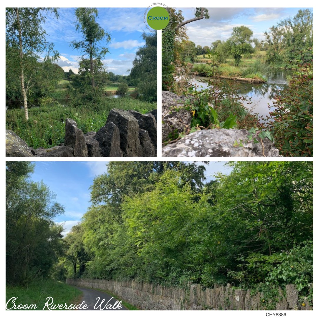 The riverside walk in #Croom. Peaceful & tranquil #Limerick #RiverMaigue #Ireland @LimerickCouncil @LimerickEnviron