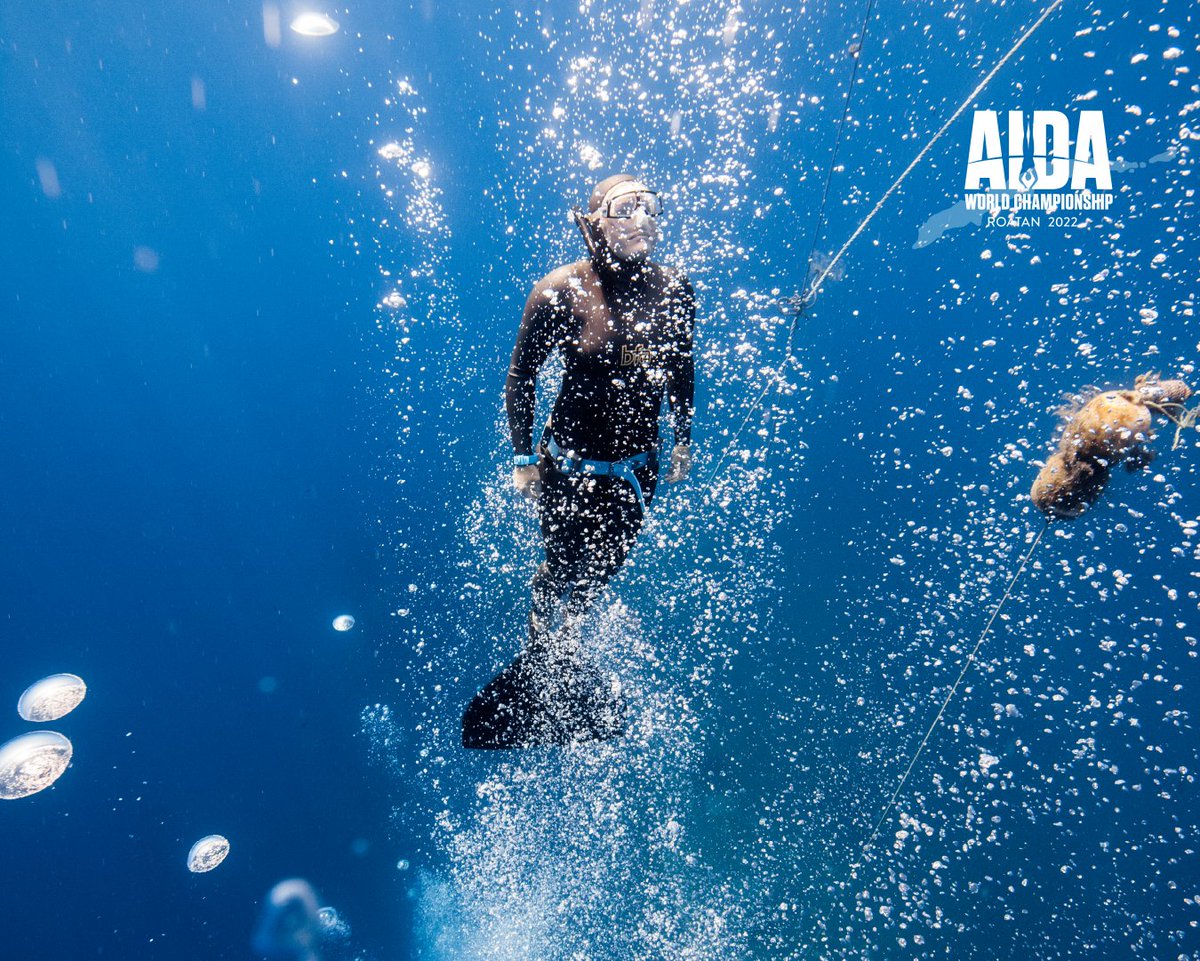 AIDA International tweet media