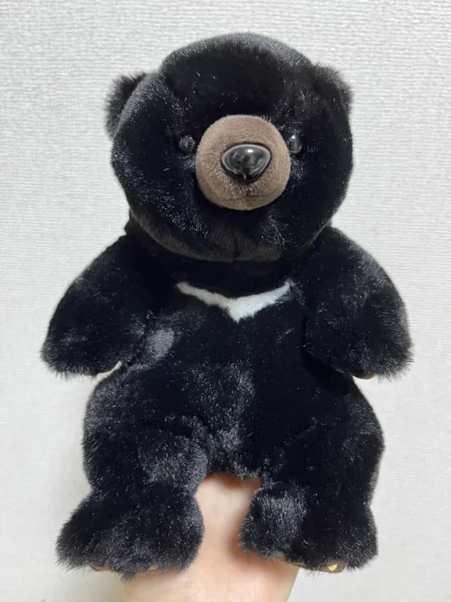 とんでもなくかわいいクマを買いました 