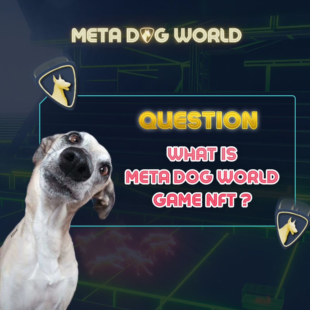 metadogworld's tweet photo. What is META DOG WORLD game NFT ❔ 🤔 

Meta Dog World is a blockchain play-to-earn NFT dog racing metaverse with 

🏁   Greyhound racing industry solutions
💡 Idle Gameplay
📈 Easy to play and earn 
💰 Short and brief plays with only 15min/day https://t.co/ssrIwMtSBY