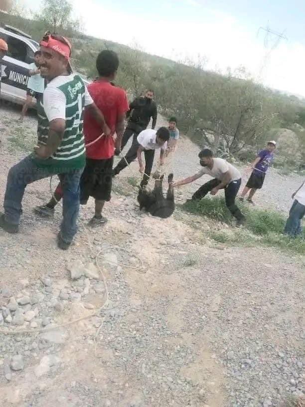 KamaleonconK tweet media