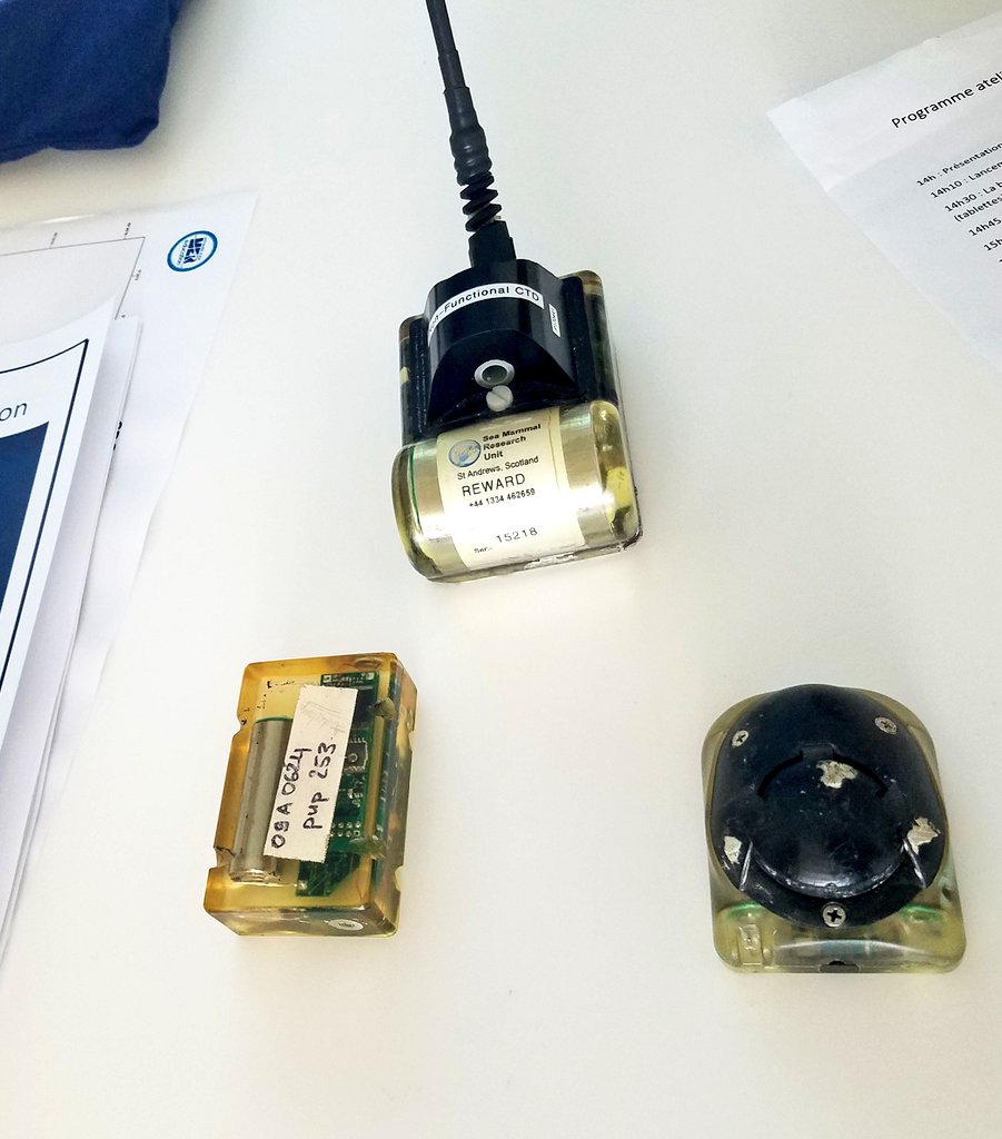 vivelesSVT's tweet photo. Avez-vous déjà vu des balises de suivi de phoques ? #MerEduc22 https://t.co/nCBg5iSkhK