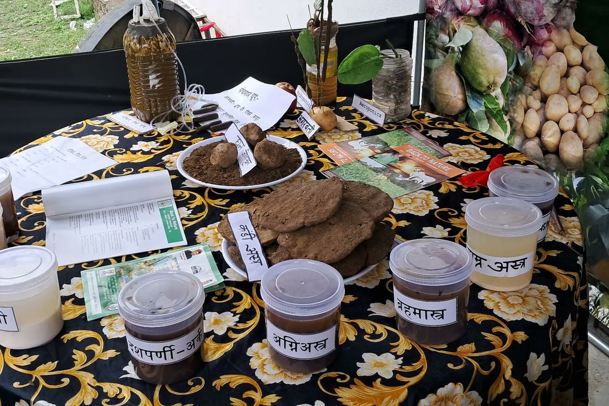 Mandi_Gate's tweet photo. Team MandiGate visited the "kisan mela" held in Himachal Pradesh, organised by Chaupal natural farmers' producers company. This collaboration is surely going to benefit many farmers of Himachal Pradesh and nearby states.
#MandiGate #fruitsandvegetables #inauguration #fpc #farmers https://t.co/D4BCk4ohtl