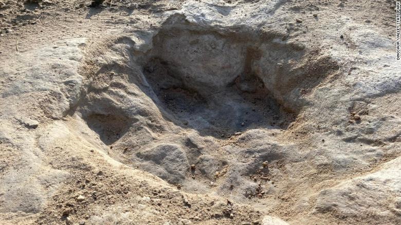 Massive dinosaur tracks have been uncovered in a dried-up river bed amid a historic drought in Texas. Experts say the tracks belonged to a 60-foot, 44-ton dinosaur called the Sauroposeidon around 113 million years ago. 📸: Dinosaur Valley State Park