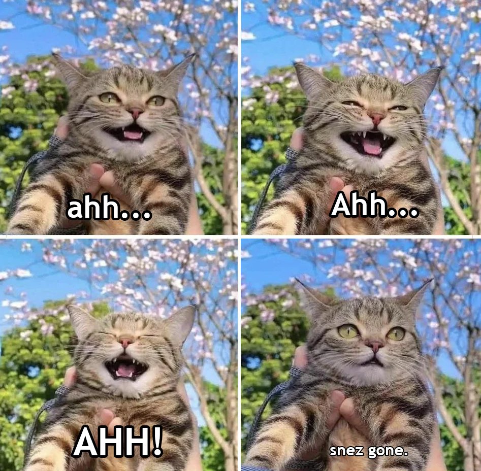 WholesomeMeme's tweet photo. https://t.co/on3KGqcxn6