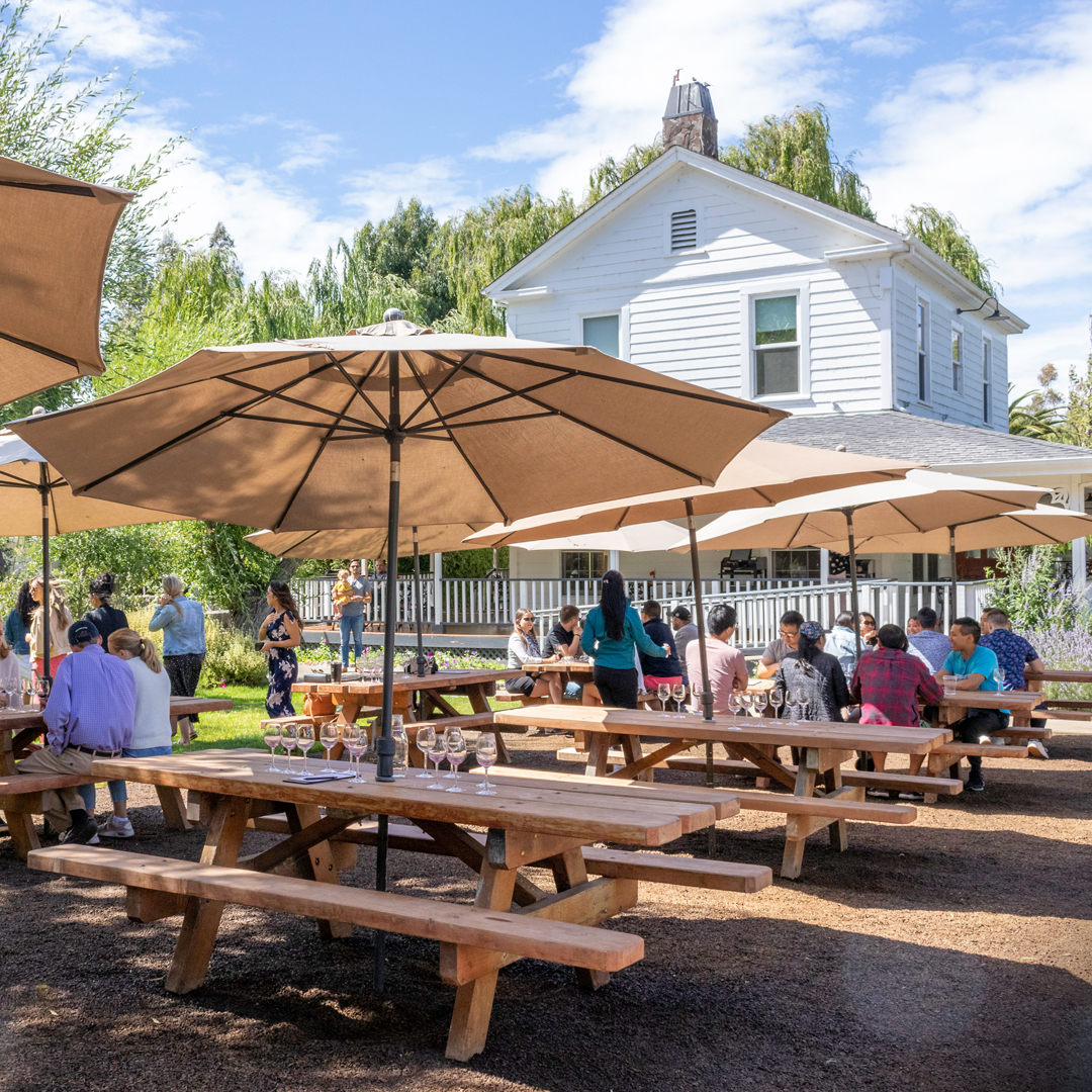 Have you visited Cline lately? We have all sorts of fun new things happening at the winery. Learn more about reserving one of our Garden Cabanas or seated tasting experiences today--we'd love to see you back at the ranch! bit.ly/3Q9MMy3