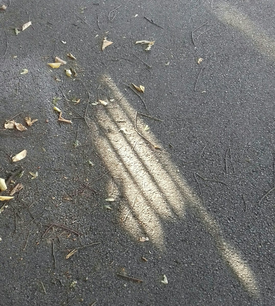 VVB_LJ's tweet photo. Two #shadowpoems I found on the pavement today, 23. VIII. 2022, at 17:22.
I can't quite make out what they are singing about, but it touched me nevertheless. That's poetry. π
#Pavementpoetry https://t.co/dlvCJjvG0t