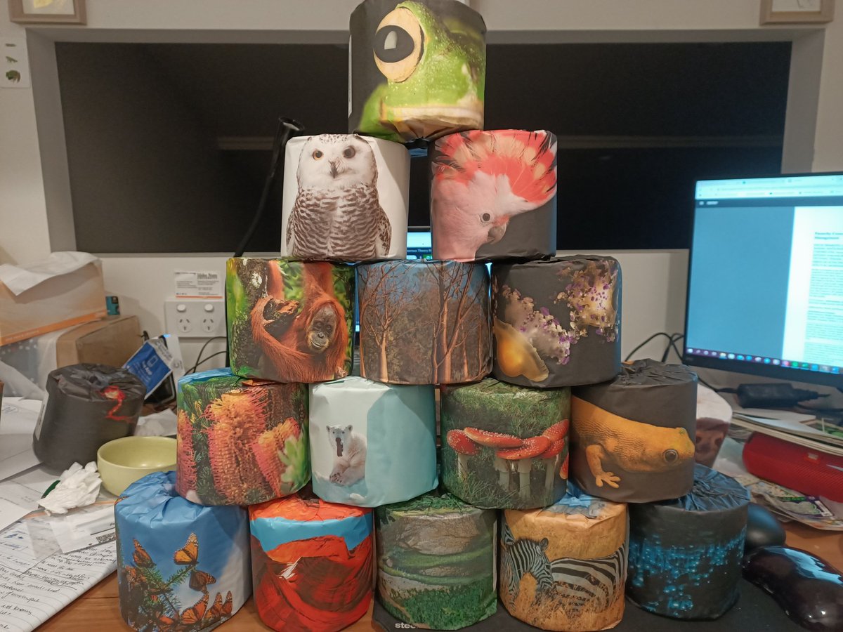 Sometimes it's the little things that keep you going between #scienceweek &amp; #nationalbiodiversitymonth ☺️. <a href="/StreamUon/">STREAM</a> <a href="/ConservationUon/">Conservation Science Research Group</a> <a href="/WhoGivesACrapTP/">Who Gives A Crap</a>