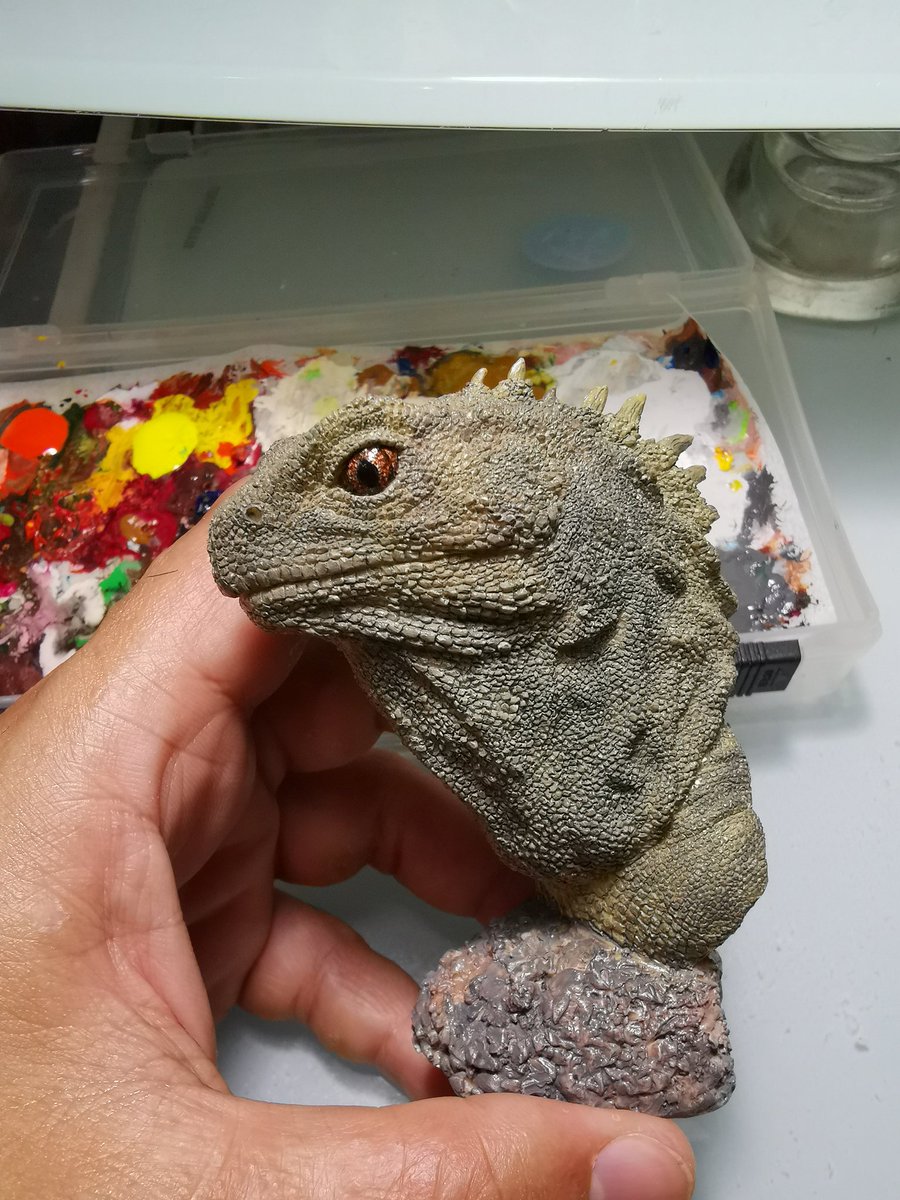 TZUCHILEE2's tweet photo. 紀錄
#喙頭蜥
#tuatara
#Sphenodon https://t.co/vn8JBgNuTB