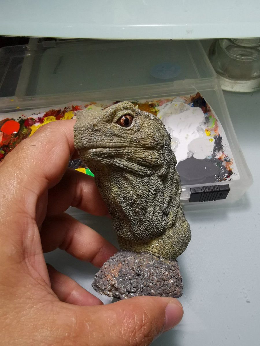 TZUCHILEE2's tweet photo. 紀錄
#喙頭蜥
#tuatara
#Sphenodon https://t.co/vn8JBgNuTB