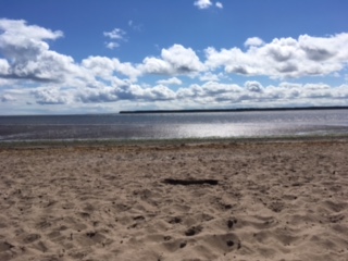 Our header photo shows Tentsmuir Forest from Broughty Ferry Beach. Broughty Ferry is well worth a visit with its beach, castle, park, lovely new waterfront walkway as well as many cafes, bars, independent shops and an amazing ice-creamer. Find out more at visitscotland.com/info/towns-vil…