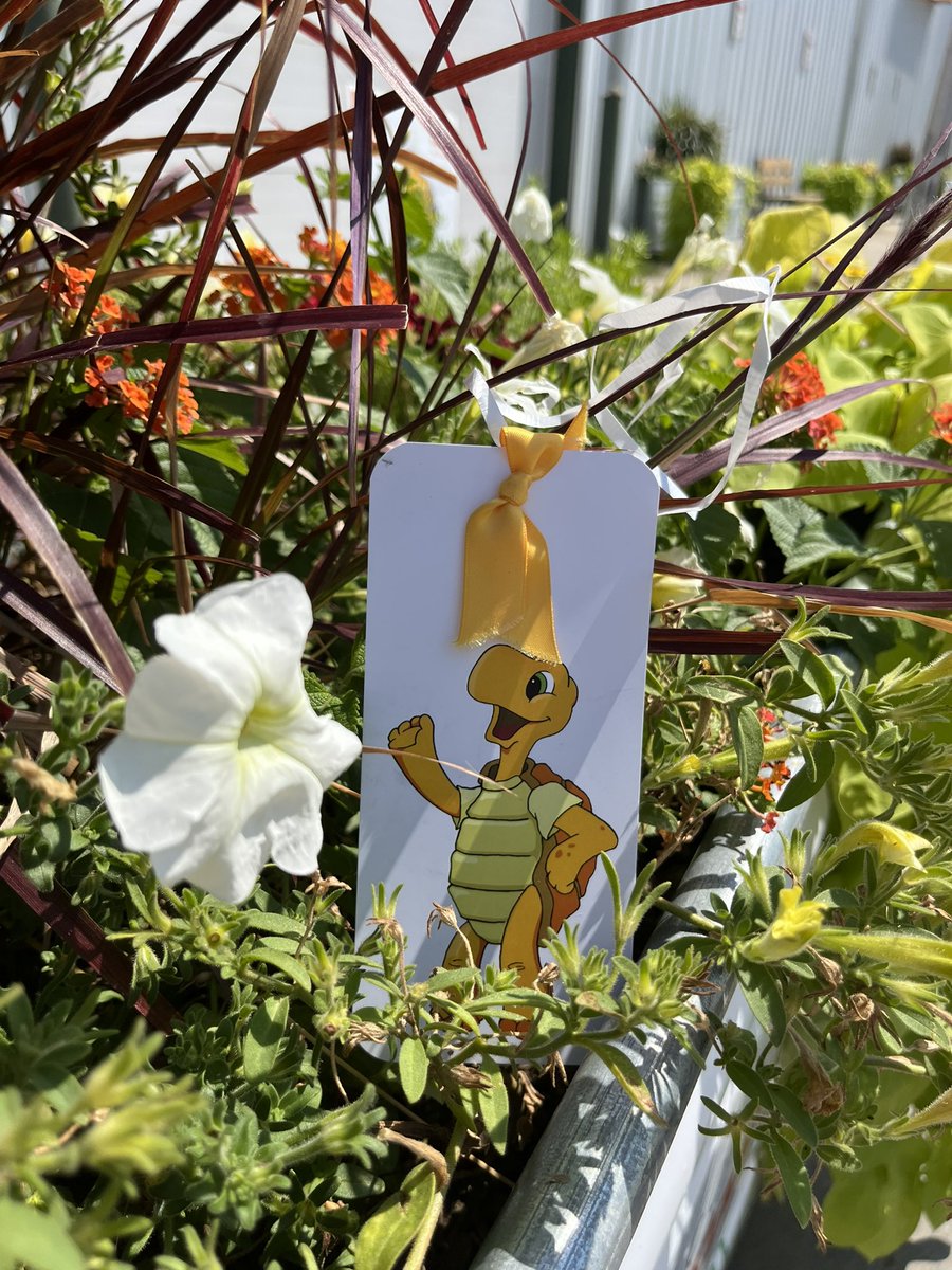 FamilyRVClub's tweet photo. Make sure you keep an eye out for Sheldon ! 👀

If you find FMCA’s mascot around the grounds turn him into the Information Booth for some extra Bonus Bucks. 

#fmcaNE22 https://t.co/PJsSzLh2J9