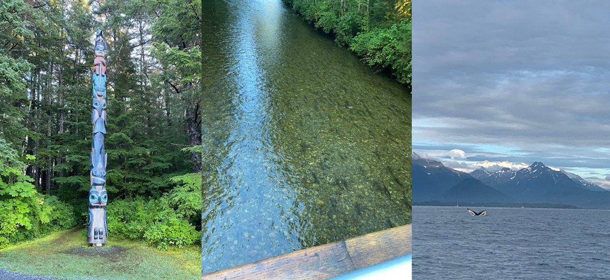 Dr. Lisa Kerr tweet media