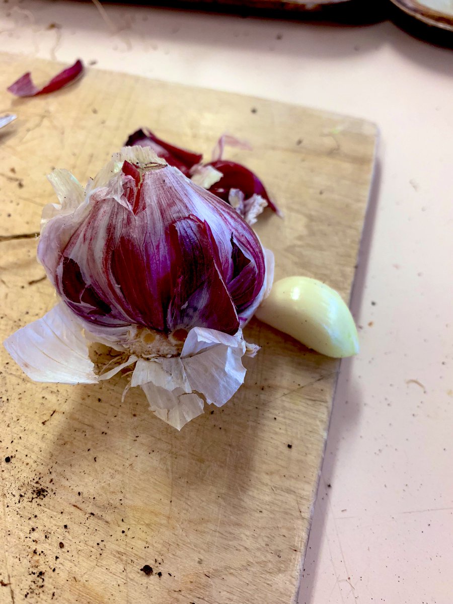 ardhomeec's tweet photo. Enjoying being back in the kitchen with our N4/5 Prac.cookery. Started off with a stir fry using these fab onions and garlic from our garden @astragardens they were so tasty 😋 learning about blending, veg cuts, seasonality https://t.co/7v2pLhUXfg