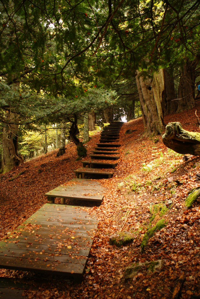 EndikaLA's tweet photo. La #MontañaPalentina 🏞️ en #ComandoAlSol @La1_tve
Tejeda de Tosande 🪵, uno de los secretos mejor guardados de la vieja #Castilla https://t.co/YJ3XWELqku