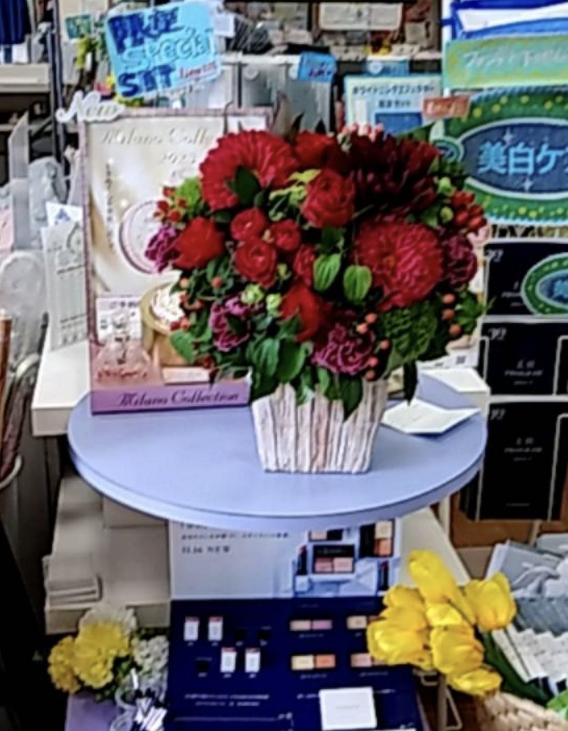 先日、ブリヂストンサイクル様よりアルカンシェルのお祝いとしてお花が届きました✨✨✨
実家の薬局に飾って、お客様に見てもらっております。

次はTE9でも良い結果を出せるよう精進致します！！

#bridgestone
#rp9