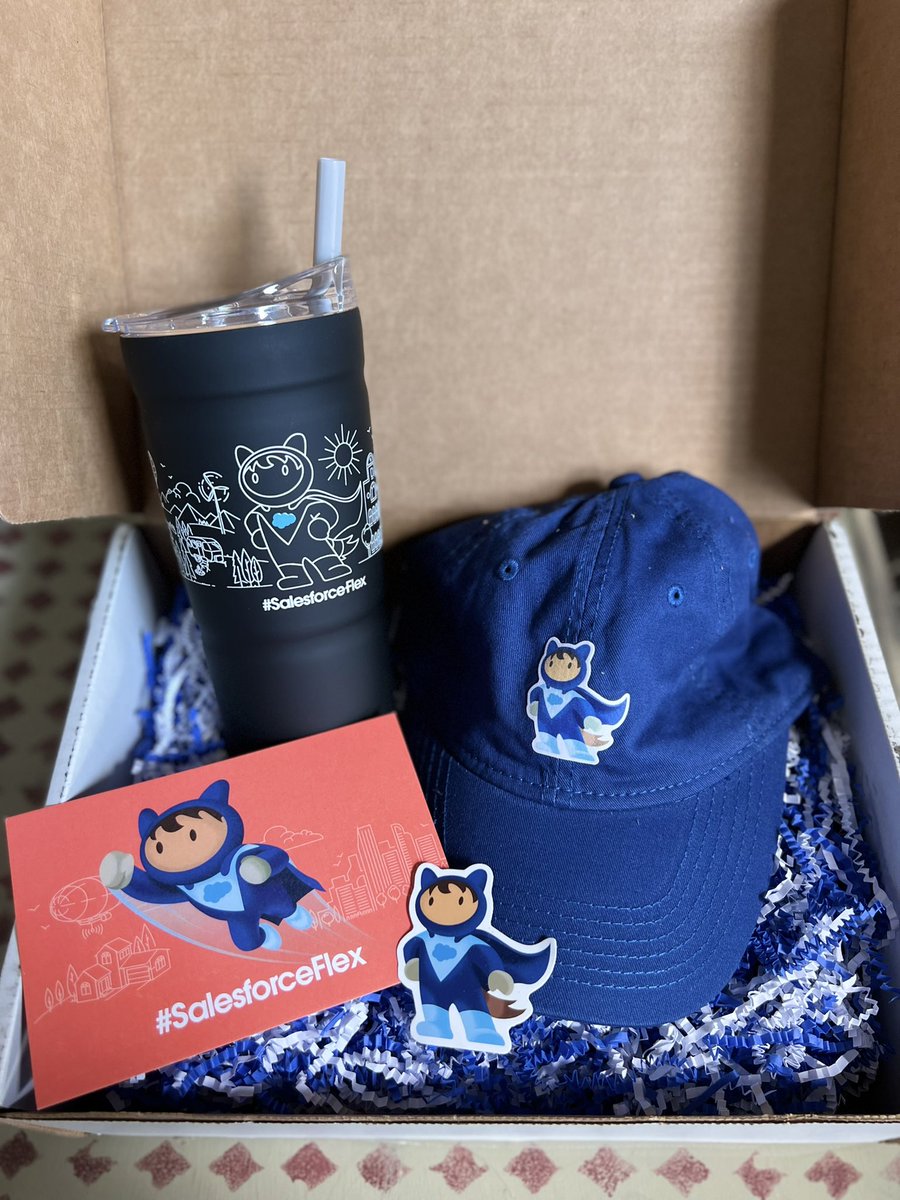 bmshellist1's tweet photo. The best mail! #salesforceflex 💙 https://t.co/xQsQkY8cyk