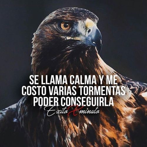 hojillasilva's tweet photo. Otro martes más para los que no me ven y los que me ven "por casualidad" (estaré viejito y seguirán diciendo lo mismo). ¡Apriétense! Perdón... ¡Prepárense! Os ruego verme y les prometo un cursito de calma y cordura. https://t.co/DLsUBcQqXH