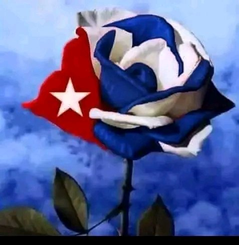 mayedps's tweet photo. Las campañas de los pueblos solo son débiles cuando en ellas no se alista el corazón de la mujer. Felicidades a todas las federadas en nuestro día. #FMC #Cuba @saludsspiritus @AvellaRivero @SanctiSpiritus1 https://t.co/UvGnLM12L1