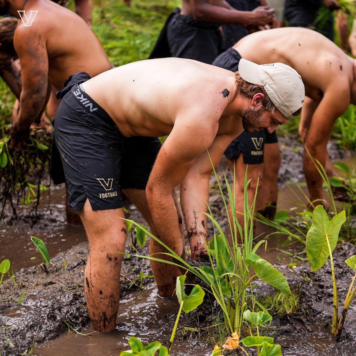 Vanderbilt Football tweet media