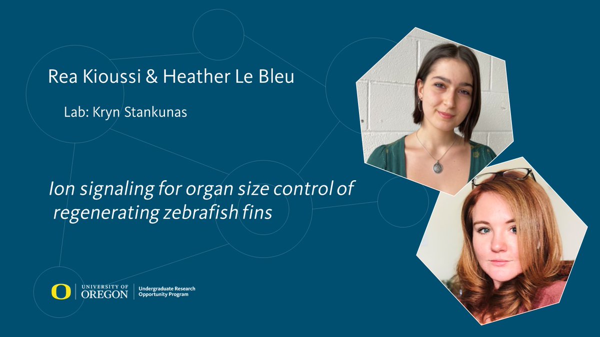 uoUROP's tweet photo. This week we are highlighting the 2022 O’Day Fellowship recipients. 

Meet Rea Kioussi and Heather Le Bleu (@HeatherBleu), who are working together in the Stankunas Lab (@StankLab). https://t.co/8ipiuEu7D7