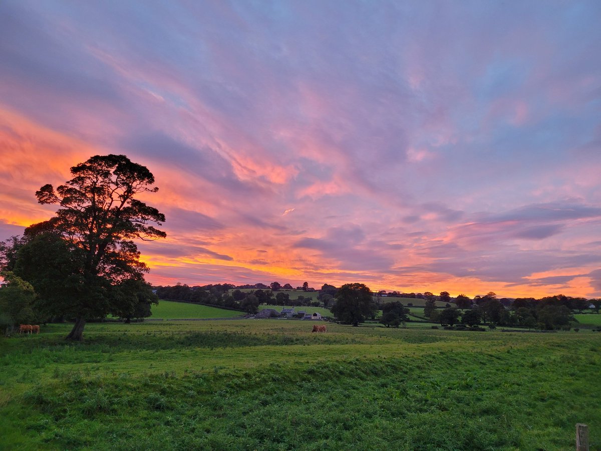 sarahhammo_80's tweet photo. We've had some amazing sunsets recently #EveningWalk #Grindleton #Lancashire #NoFilterRequired https://t.co/6aqtF4ZEA8
