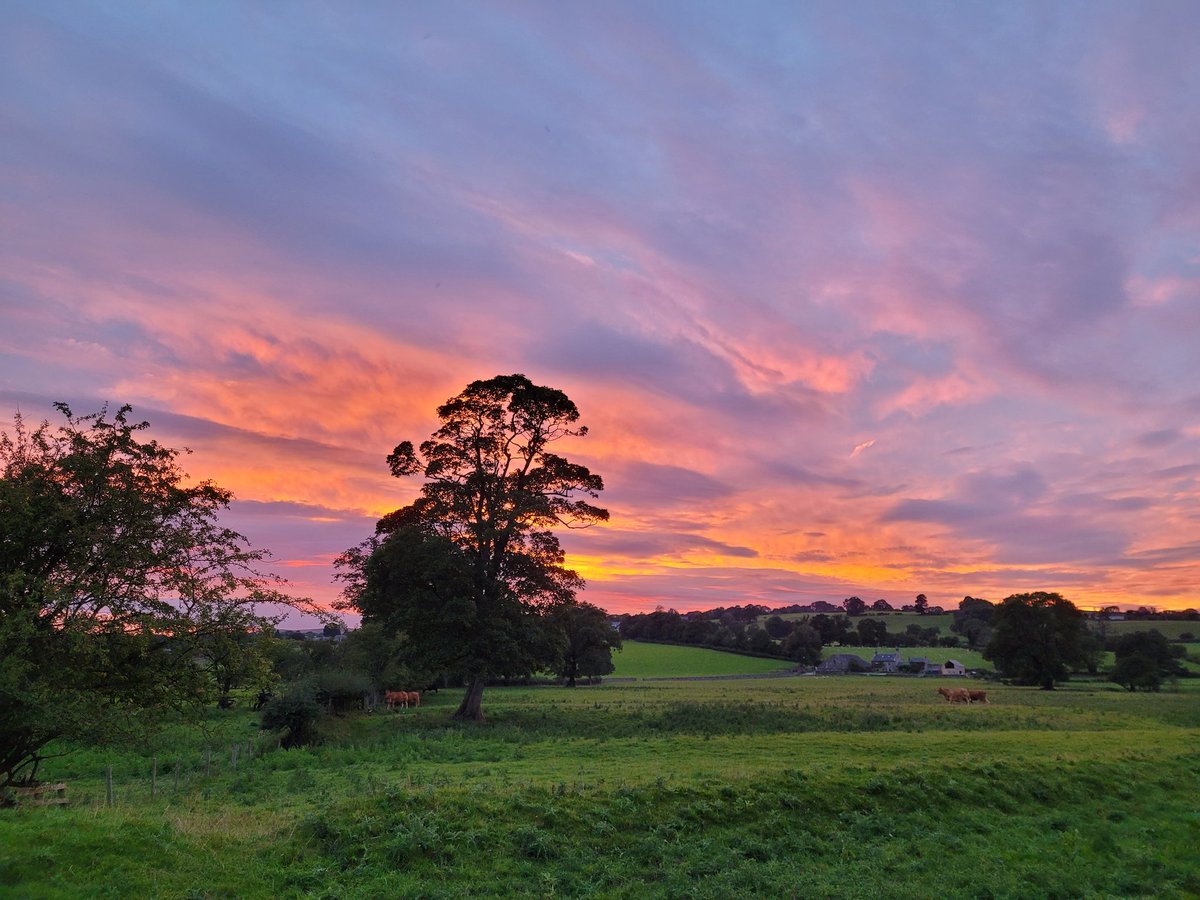 sarahhammo_80's tweet photo. We've had some amazing sunsets recently #EveningWalk #Grindleton #Lancashire #NoFilterRequired https://t.co/6aqtF4ZEA8