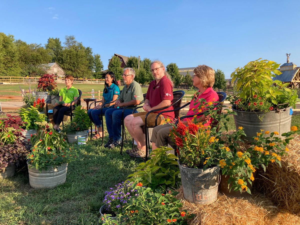 NebPublicMedia's tweet photo. Thanks to everyone who joined us at Vala's Pumpkin Patch for a live recording of "Backyard Farmer." People can watch this episode on Thursday, Aug. 25 at 7pm CT on Nebraska Public Media📺 #BYF70 #NebExt https://t.co/ETyUm9nfge