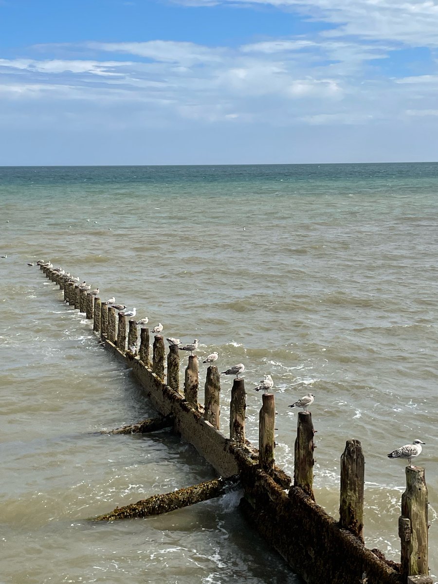 deliaknows's tweet photo. @NatureUK @Natures_Voice Hornsea…spaces limited, get in quick! https://t.co/qBc8TmSu6B