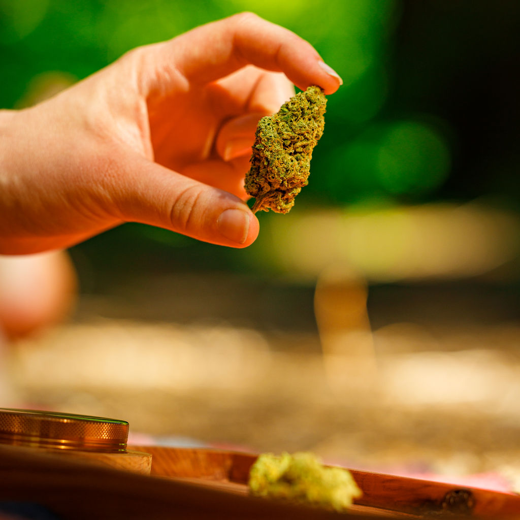 Meet the gourmet cheese of craft cannabis. Literally. Our latest Blue Cheese craft cultivar lives up to its name with a sharp and memorable cheese fragrance. Come for the craft, stay for the cheese. Ask your budtender today.