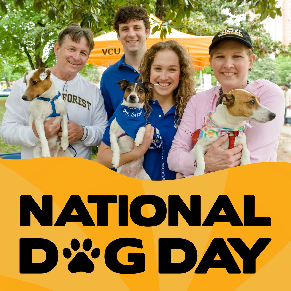 Help ensure VCU patients and students receive the comfortable companionship of a dog when they need it most by making a gift in support of <a href="/VCUHealth/">VCU Health</a>'s <a href="/DogsOnCall/">Dogs On Call</a>.

igniter.vcu.edu/o/virginia-com…