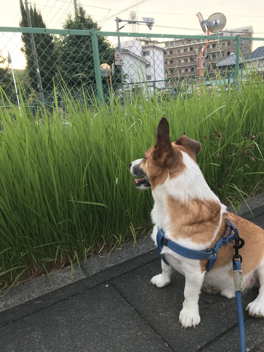 kenblog08's tweet photo. 今日も動けません。 https://t.co/05v8InD0Q0