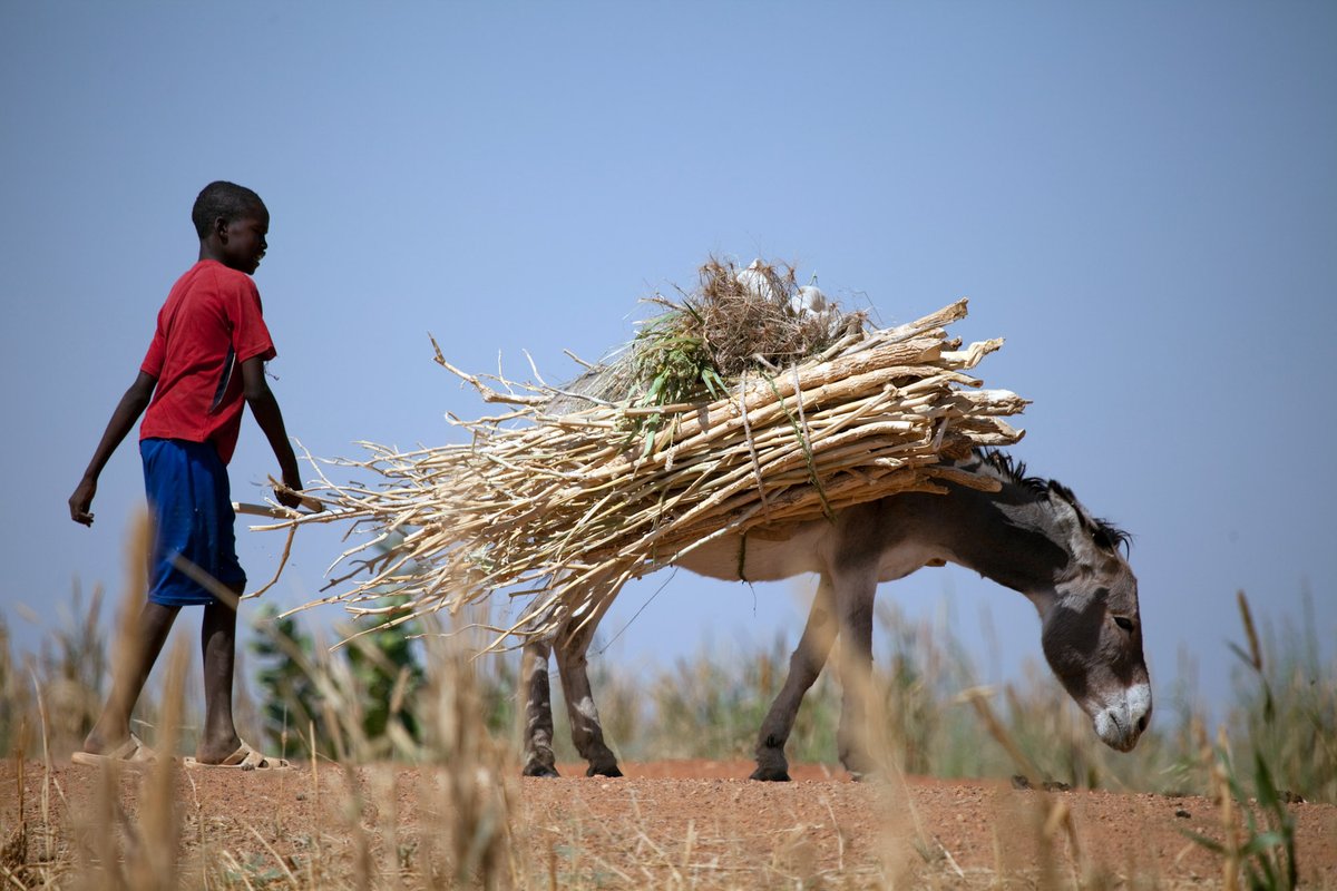 SPARC_Ideas's tweet photo. New SPARC policy brief by @adri_quev &amp; @cao_yue86 is a call to policy makers and governments to look at risks differently in fragile and conflict-affected states.

Support through #ClimateAdaptationFinance may fill critical gaps.

👉Read more here: https://t.co/N7JA8J3j8L https://t.co/ULJVcLHn46