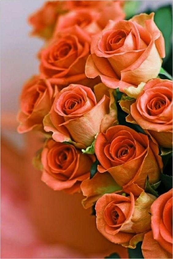 ChecoGray's tweet image. 