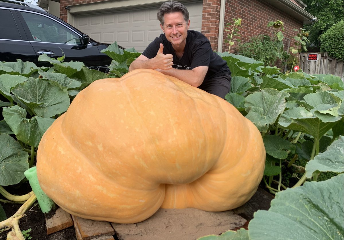 smilingsharonpr's tweet photo. I’m pretty sure that this is the BIGGEST pumpkin in Markham!! Re-tweet if you agree!! @cityofmarkham @frankscarpitti @KeithIrish1 @CityNewsTO @CP24 @CBCToronto 
@markhamfair #pumpkin #biggestpumpkin https://t.co/AWZwNJkr7a