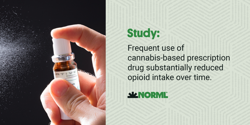 NORML's tweet photo. Ever wonder how #cannabis affects patients who are currently using #opioids for medical treatment?
We have several studies for you on #NORMLFactSheets: https://t.co/thdMJ5d3ZV https://t.co/MtR32rrbfK
