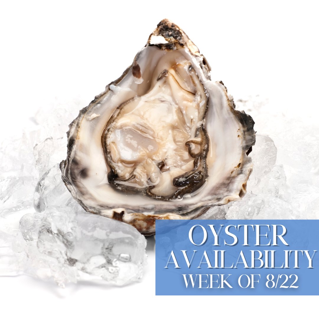 jetfreshchefs's tweet photo. Which oyster is your favorite? 🦪  This is our current week's oyster availability!

Hello there! We're Jet-Fresh! For over 20 years we've provided landlocked chefs across the country incredible seafood and imported foods. Contact us directly to inquire:

 ... https://t.co/Wqyv4j8guX