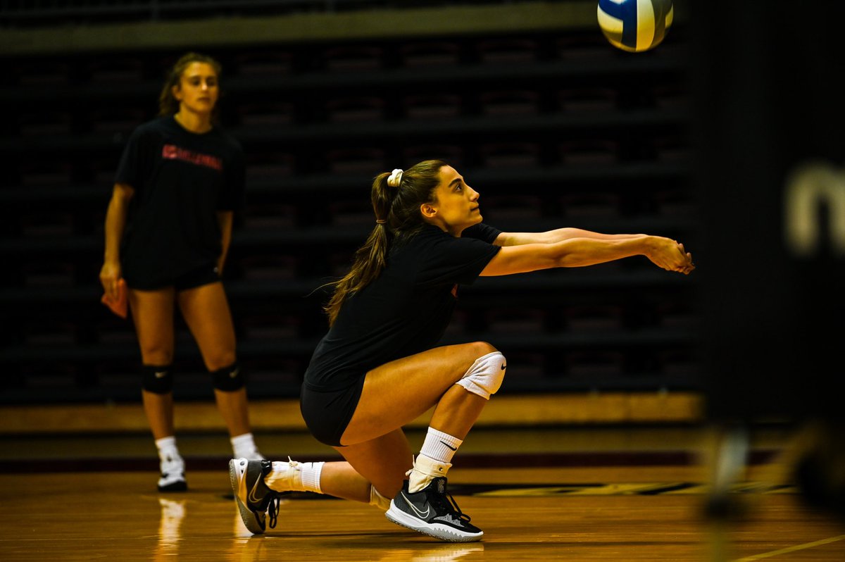 IUPVB's tweet photo. Working towards our goals every day 😤💪

#TalonsUp | #VolleyHawks https://t.co/Y2wHnISVEN