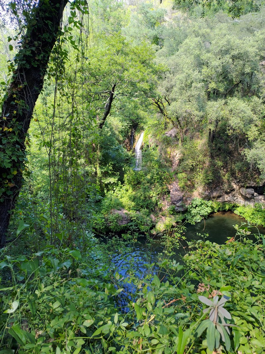 Lezi_GG's tweet photo. @LaureBuliiV Tellement le plus beau département 🥰 et si varié, avec des petits coins de verdure et de cascades juste magnifiques (chutes de Carcès pour les curieux) https://t.co/Iaad6mK7OG