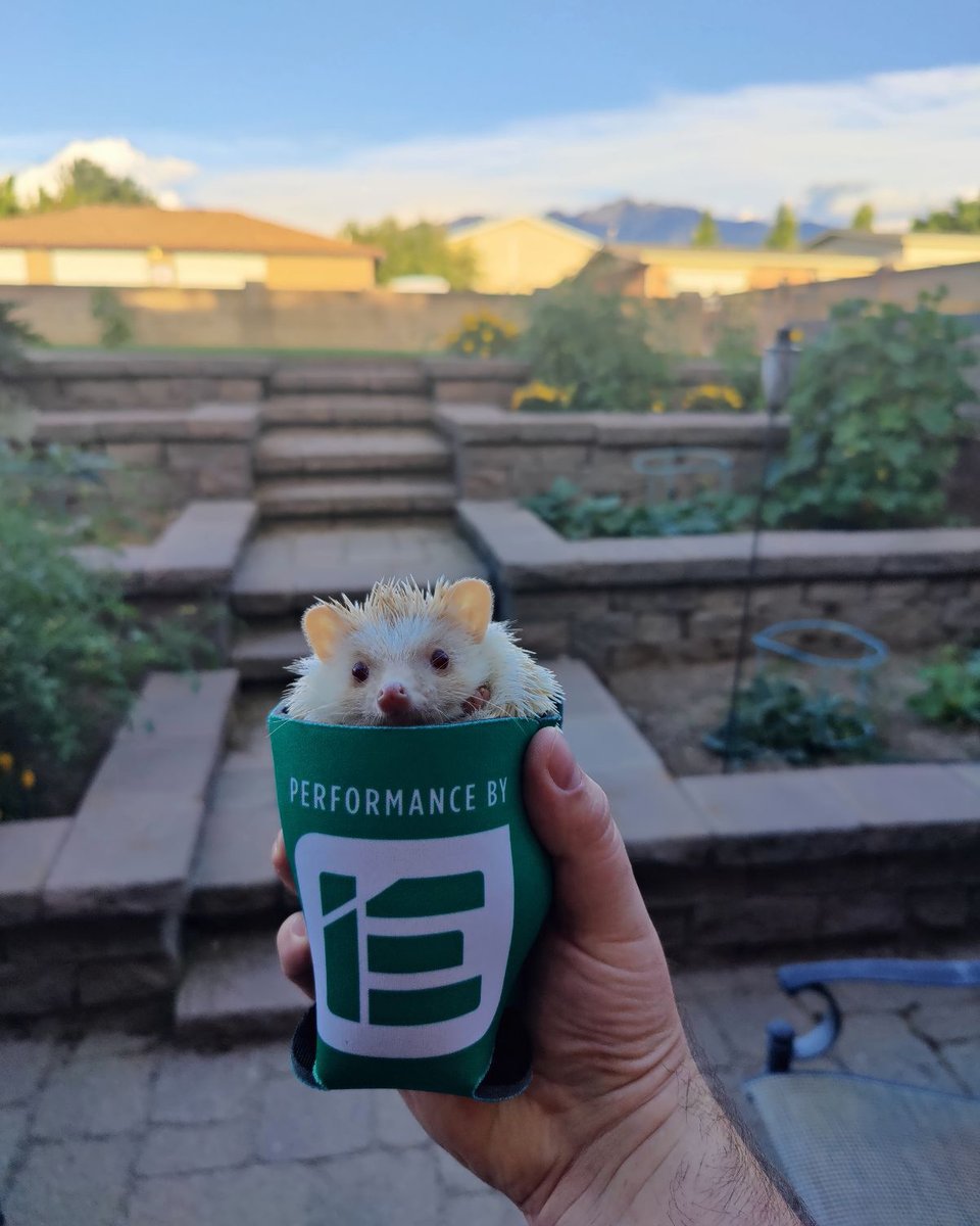 PerformanceByIE's tweet photo. Not only is the IE Koozie beer and other beverage approved...it's now hedgehog approved! Our own CSR Justin had to show us how it's done. How've you used your IE Beer Koozie?
-
#IntegratedEngineering
#PerformanceByIE https://t.co/wTbNXxOMmU
