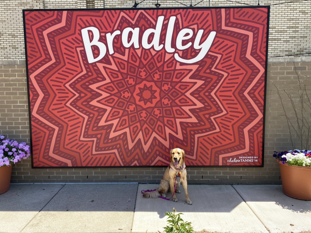 maley_am's tweet photo. Getting ready to start my third year at Bradley after an eventful summer, including adopting Poppy from @AGaGRescue! https://t.co/0u3EDTYViK