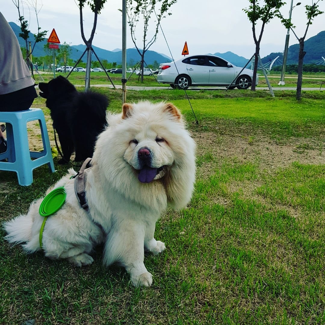WanRusuk's tweet photo. https://t.co/cltYa98F0s