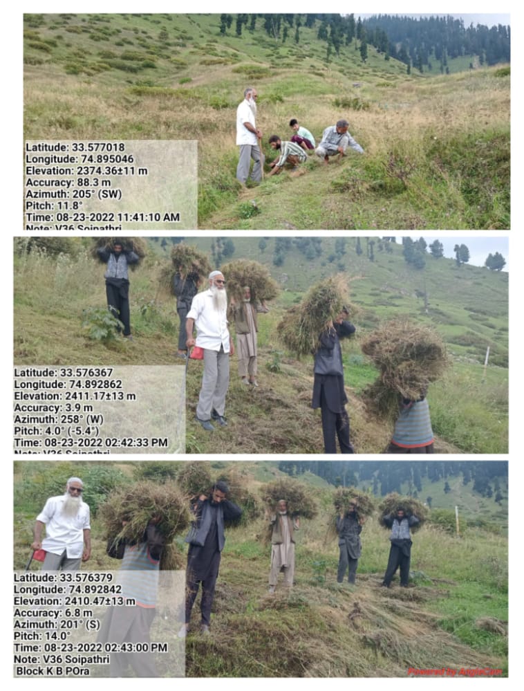peerzada_riyaz's tweet photo. Grass distribution in Forest Range Veshew of Kulgam Division under deliverable "Forests for Fodder" https://t.co/JZgIqgdlKm