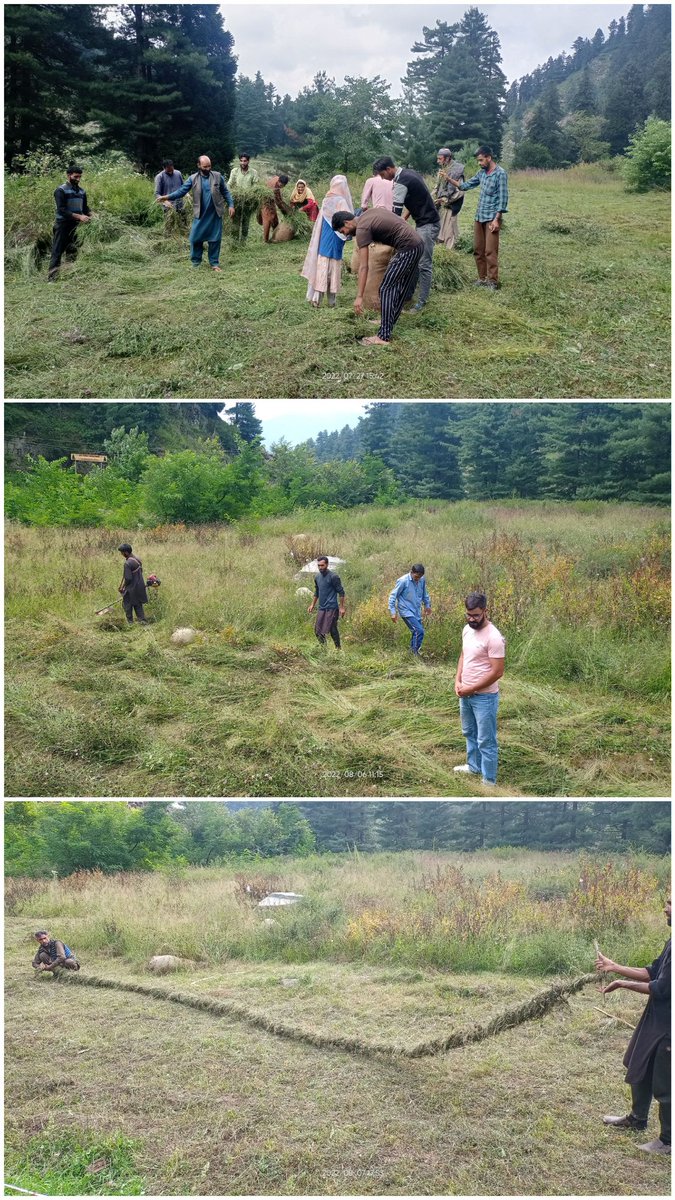 peerzada_riyaz's tweet photo. Distribution of Fodder and grasses to the locals of Aharbal and Tangmarg from Forest Compartment V31 of Forest Range veshew of Kulgam Division under deliverable " Forests for Fodder" https://t.co/zewUtQX5x2