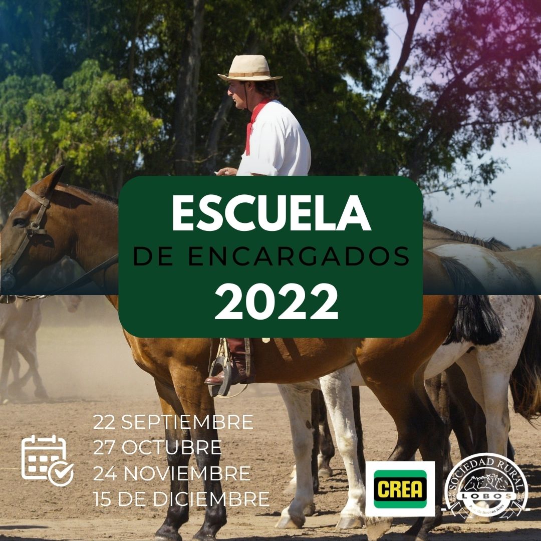 RuraldeLobos's tweet photo. 📢 CAPACITACIÓN PARA ENCARGADOS DE CAMPO 🌾 👨
Organiza CREA Sudeste y Este 

Modalidad presencial
📅 4 jornadas completas (sept/oct/nov/dic)
📍 Sociedad Rural de Lobos

Más información comunicarse con Pilar Laurel 
📩 plaurel@crea.org.ar 
📲11 6122-0646 https://t.co/uVtNmhylVk