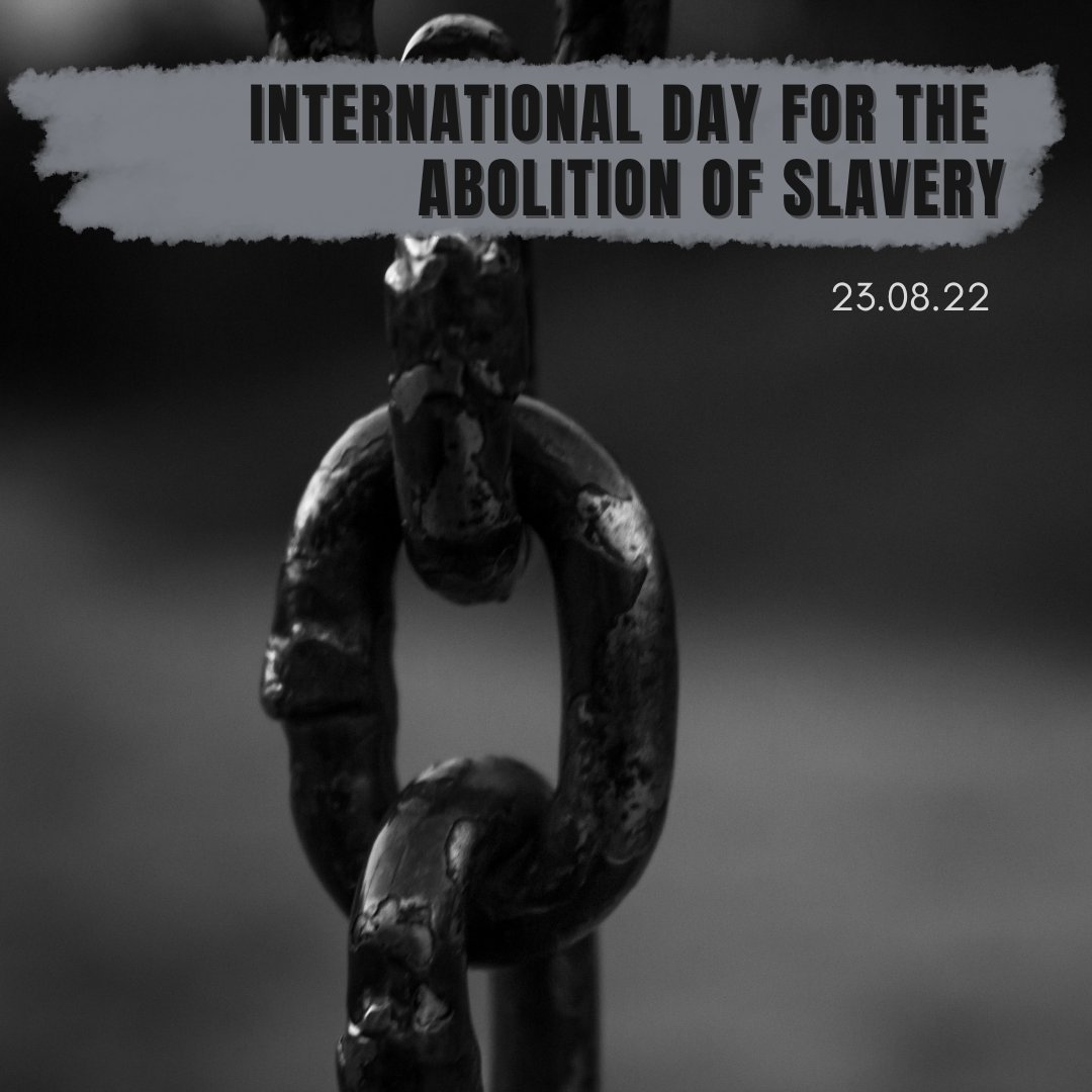 Wisdom Accelerator tweet media