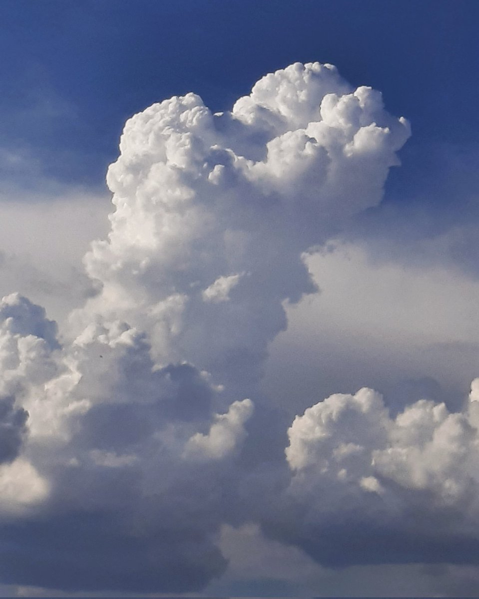 celesgalan64's tweet photo. Qué #bellezones !!! ☁️
#nubes sobre la #SierraDeMadrid https://t.co/wXPXzroQzl