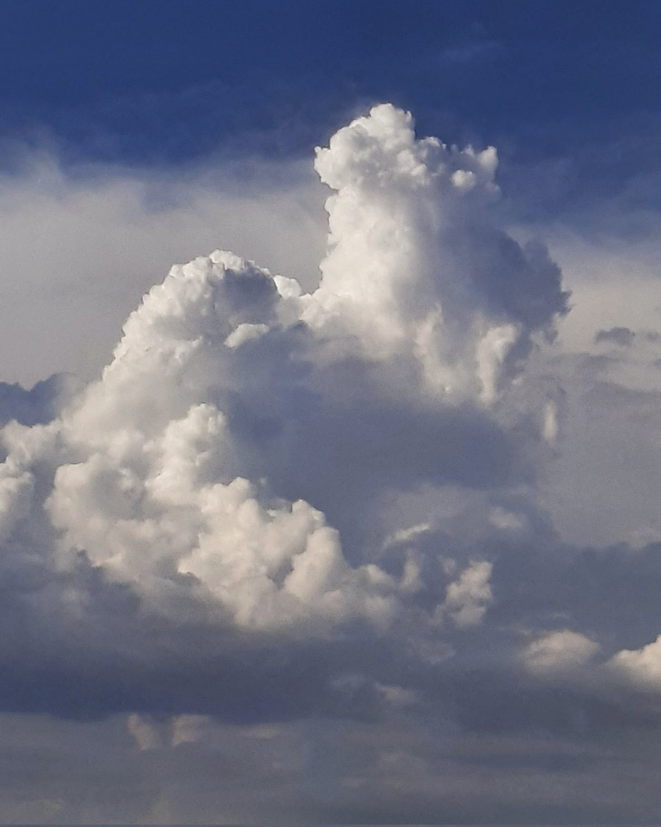 celesgalan64's tweet photo. Qué #bellezones !!! ☁️
#nubes sobre la #SierraDeMadrid https://t.co/wXPXzroQzl