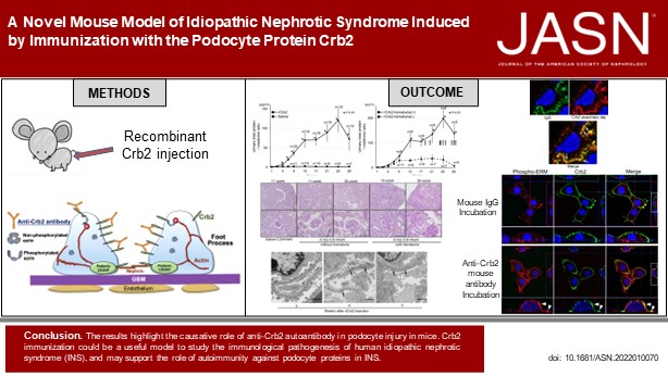 JASN_News tweet media